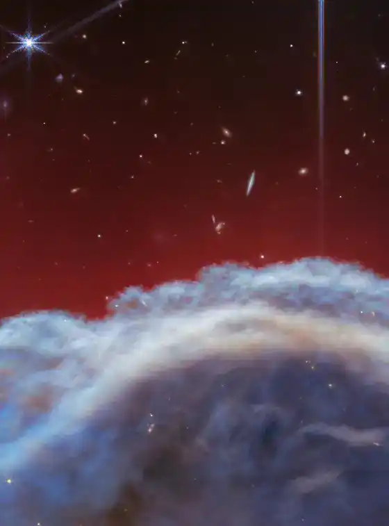 Nébuleuse de la Tête de Cheval — JWST NIRCam